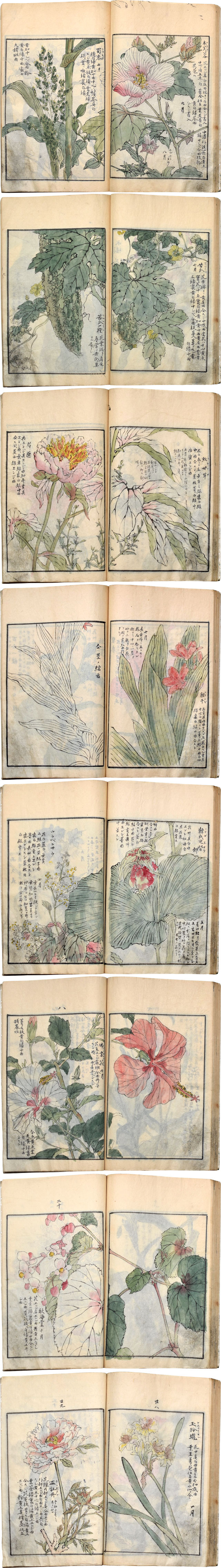 attributed to Kono Bairei One Thousand Kinds of Flowers